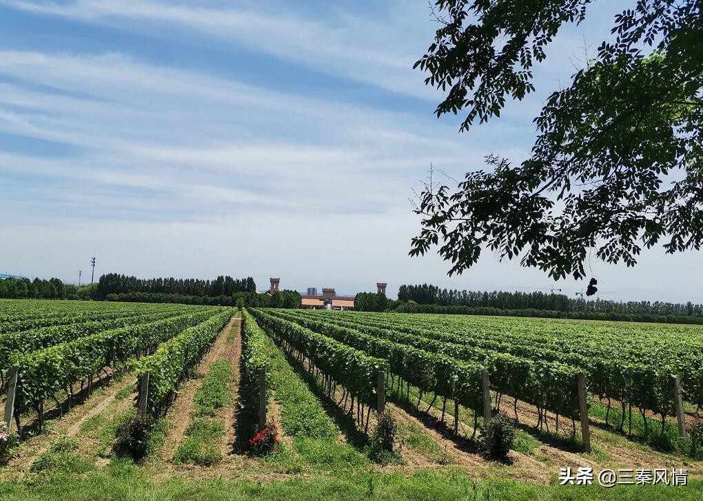 西安有一个很大的欧式风格的城堡,西安欧式庄园古堡