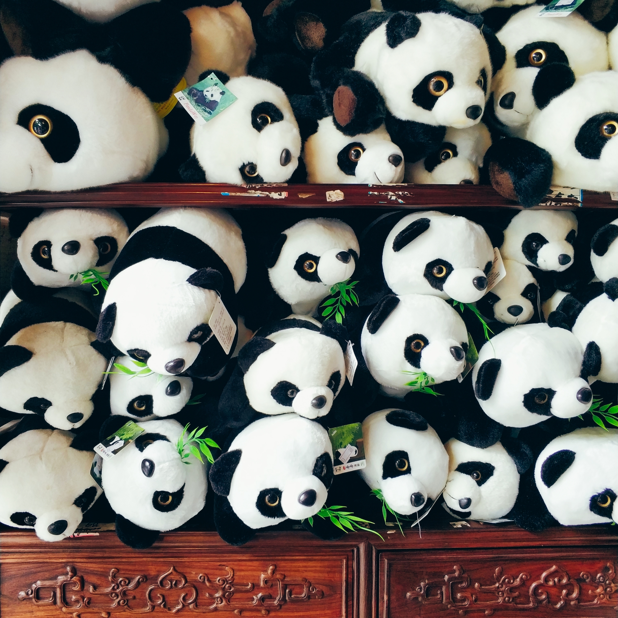 川藏线骑行从成都还是拉萨开始,318川藏线成都到拉萨骑行赛