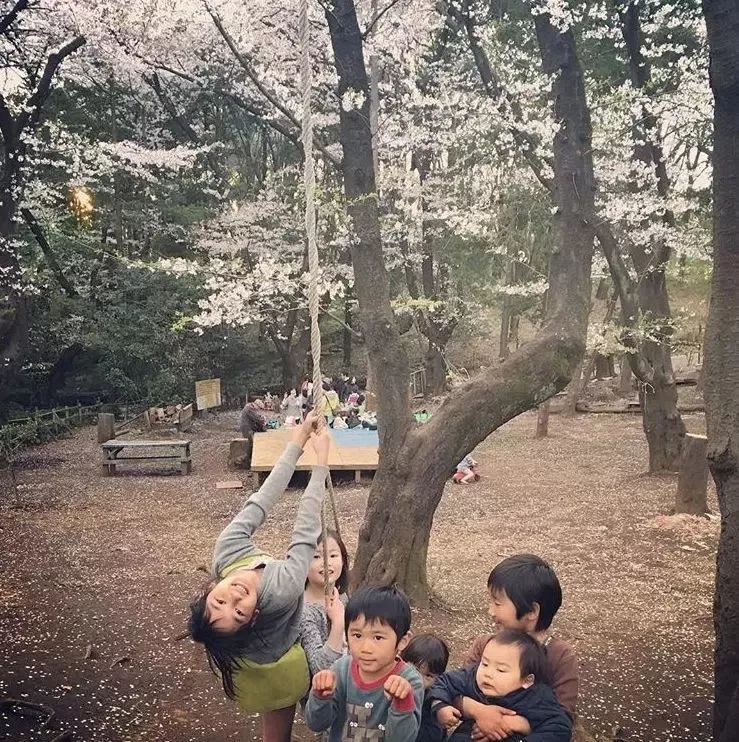 去日本最危险的公园,日本哪个公园最危险