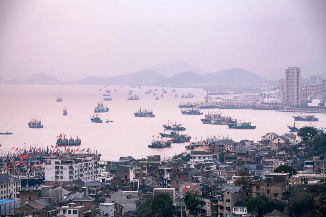 有了这座小县城，封海也封不住浙江人吃海鲜的嘴