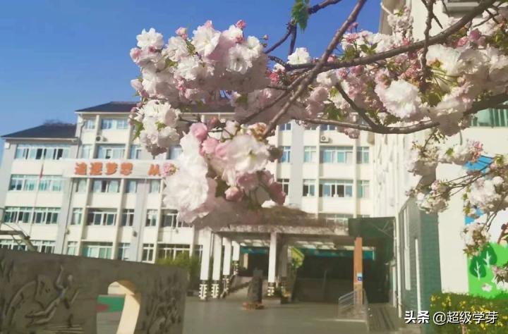 @成都家长，对口全好初中！解密！小升初青羊五区炙手可热的原因