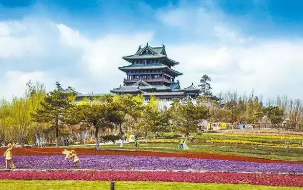 自驾车去北京世园会,自驾青岛世园会