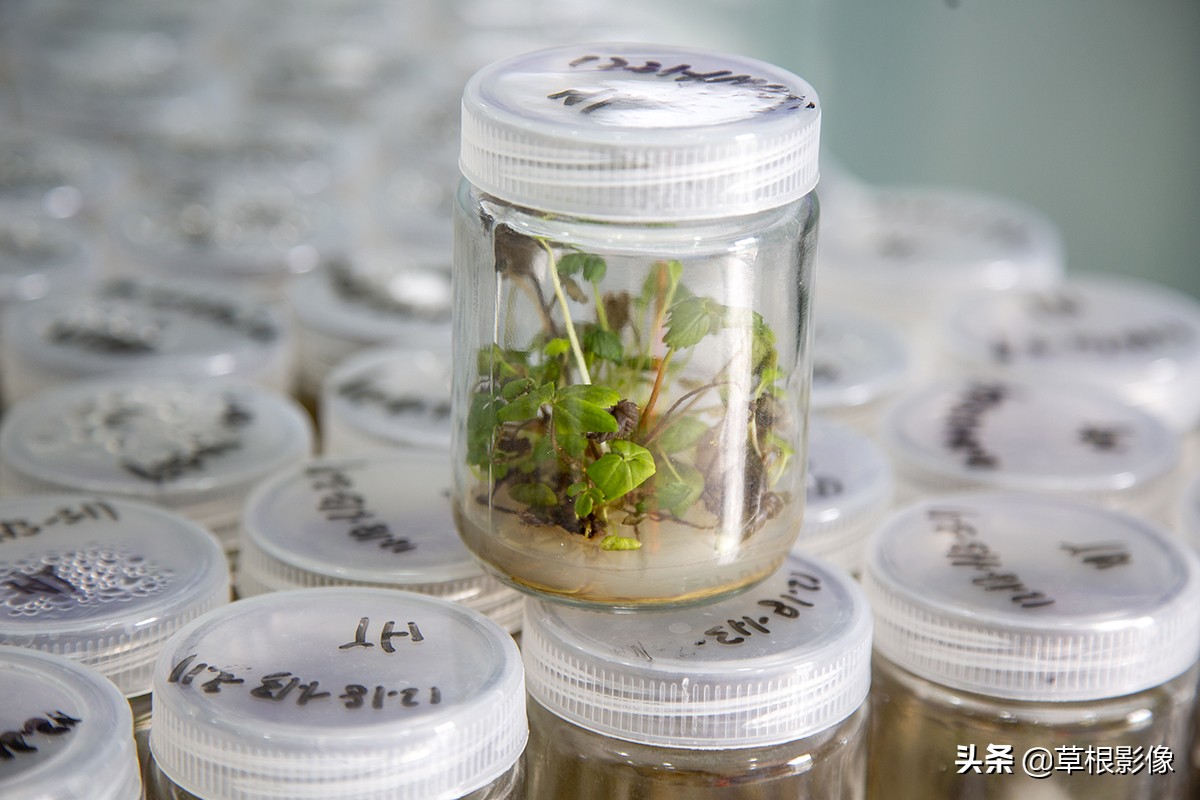 创业青年返乡养殖需要什么条件,90后大学生返乡创业成养殖行家