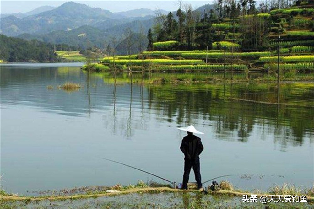 鱼线的演变,鱼线历史