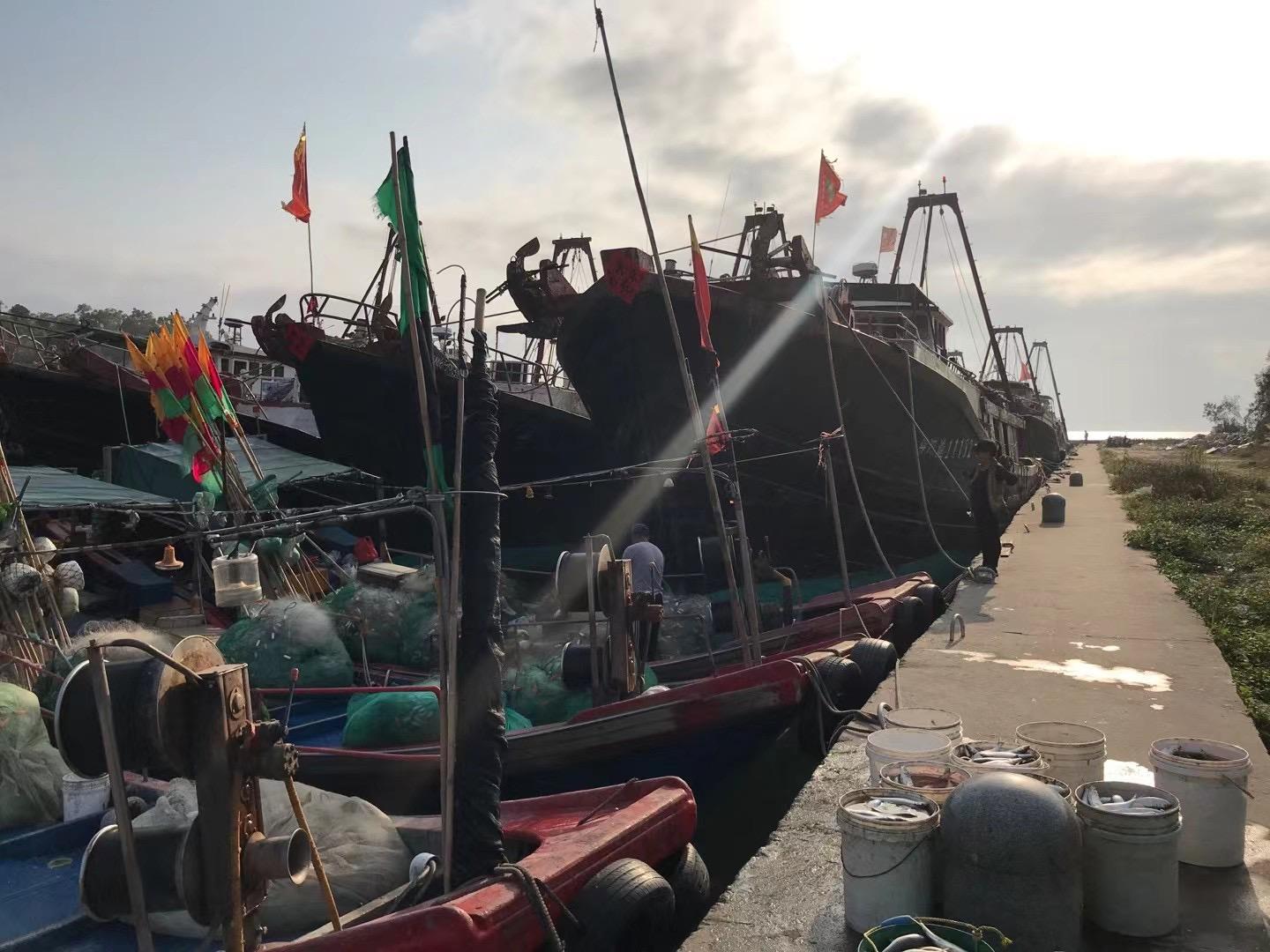 深汕高速公路鲘门服务区下一站,深汕服务区离鲘门服务区有多远