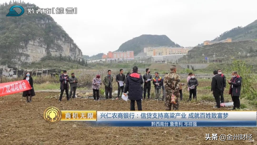 【电视版】兴仁农商银行：信贷支持高粱产业成就百姓致富梦