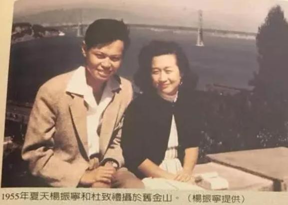 杨振宁真的让翁帆改嫁吗,嫁给杨振宁前翁帆经历了什么