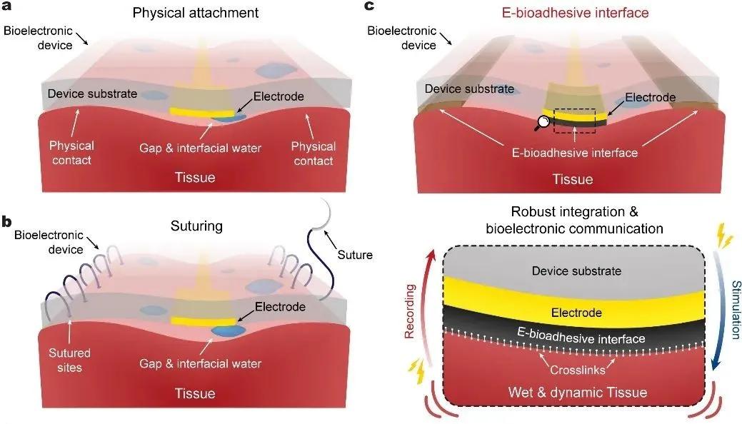 人机界面交互技术,生物粘性电子科技