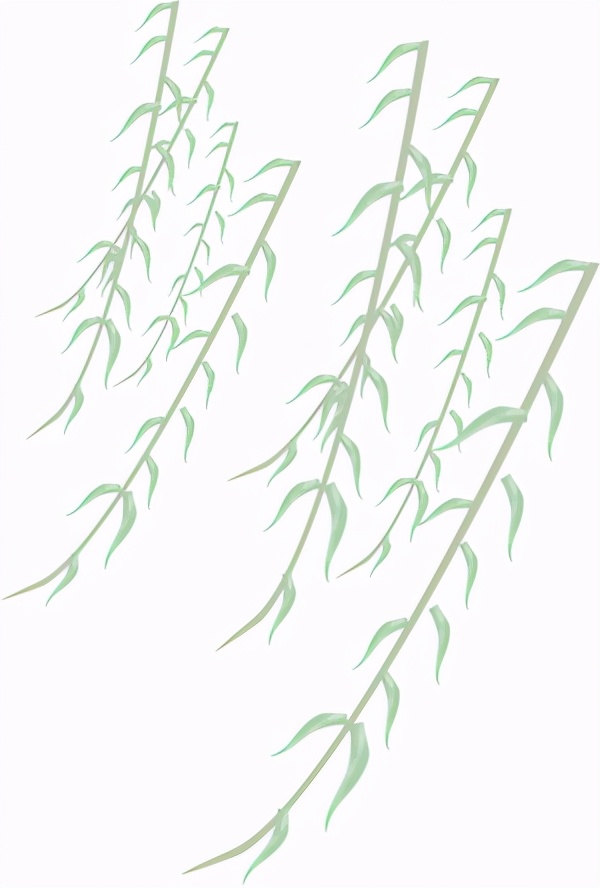 春分万物平分春色,春分是什么样的春天