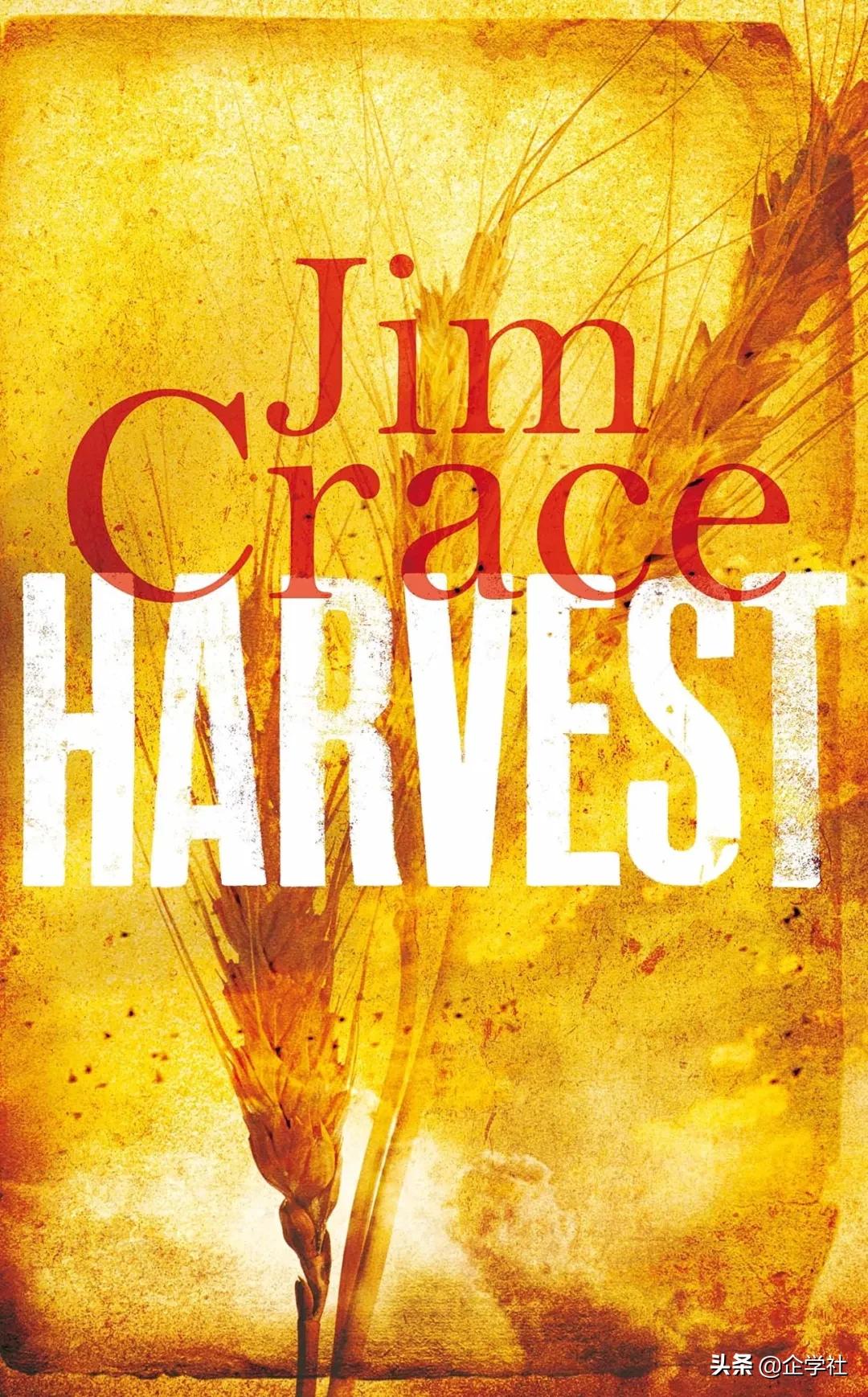 20世纪最经典的11本小说,21世纪经典阅读