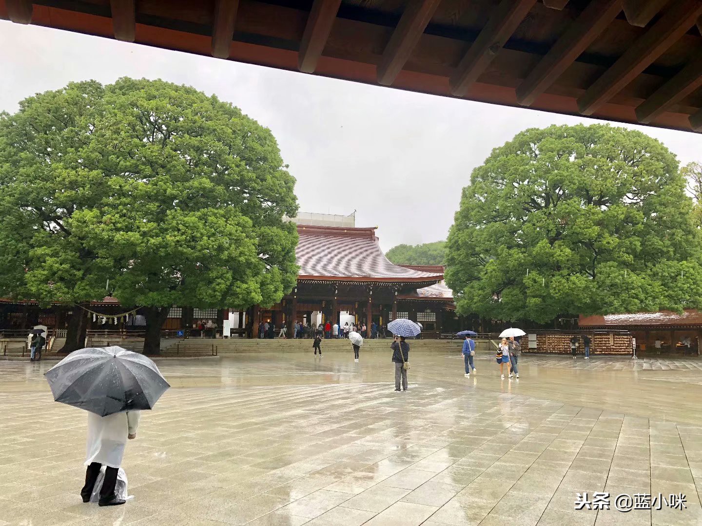 日本自由行7天看富士山,东京自由行攻略东京富士山自由行