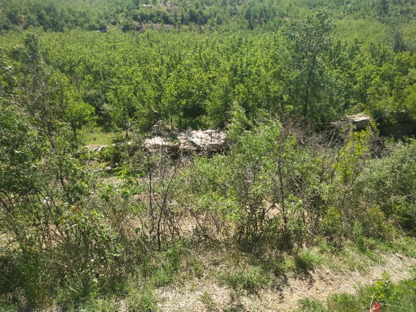 山东鲁家峪自然风景,鲁家峪泉水景点
