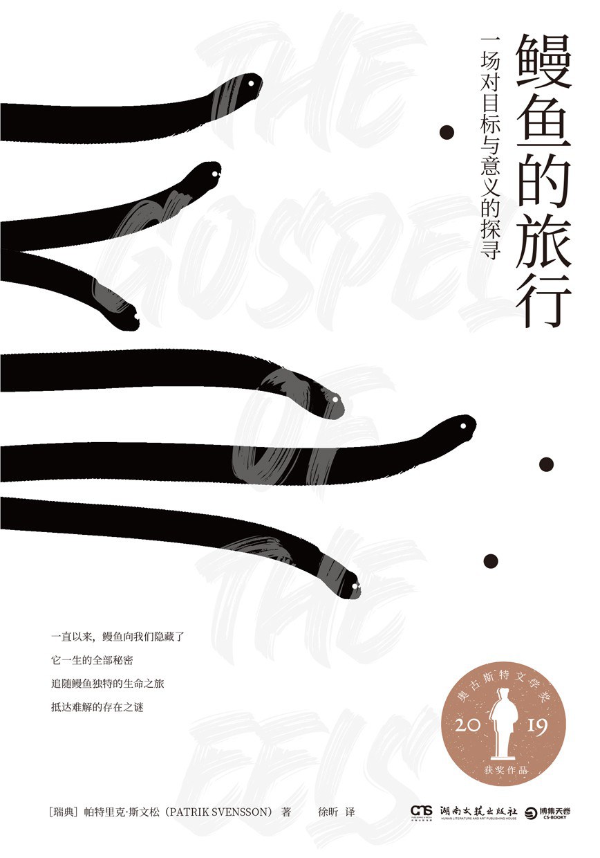 明明在说冷门鳗鱼，为什么可以又好玩又深刻？