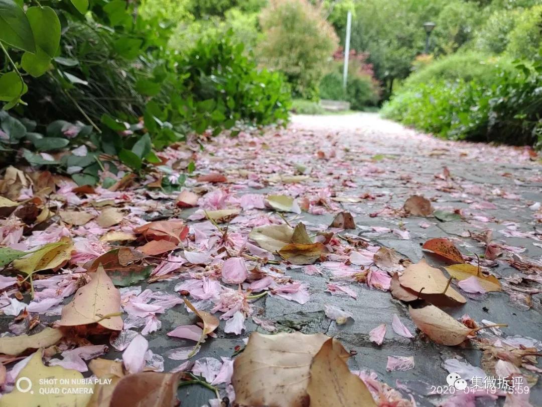 努比亚play和红米note10pro哪个好,努比亚play详细细节测评