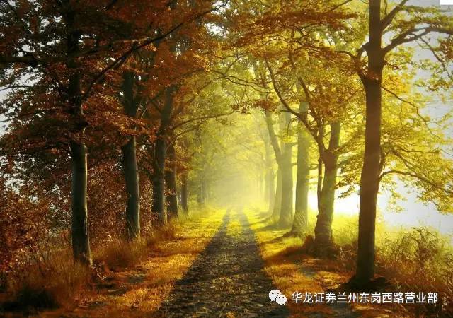 沈阳2019居游旅游年卡/票正式开售，都包含哪些景区？多少钱？