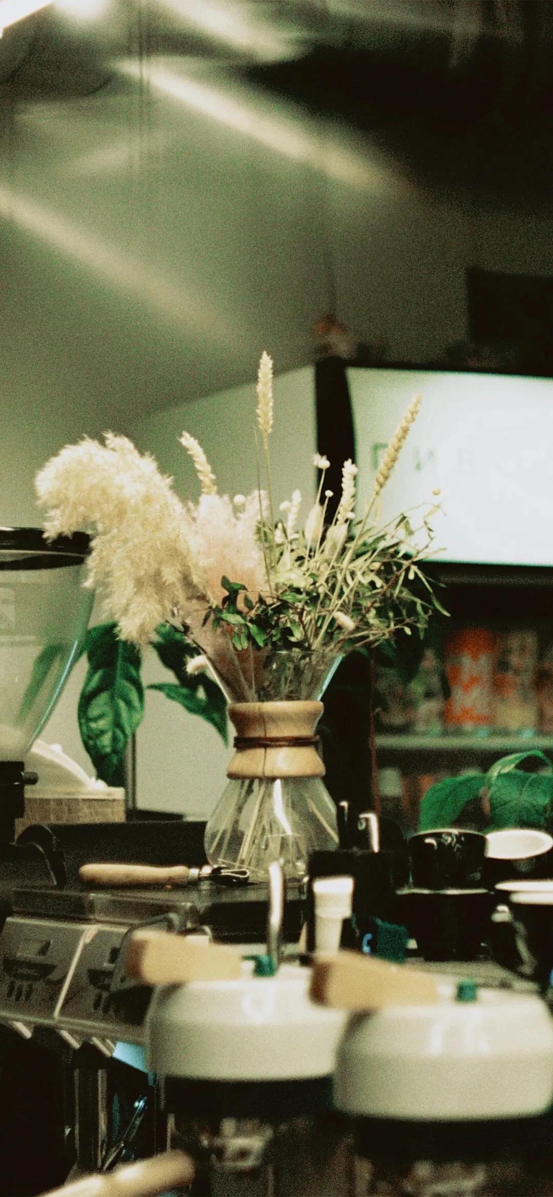 ipadpro12.9寸壁纸高清卡通,手机壁纸大全卡通高清无水印