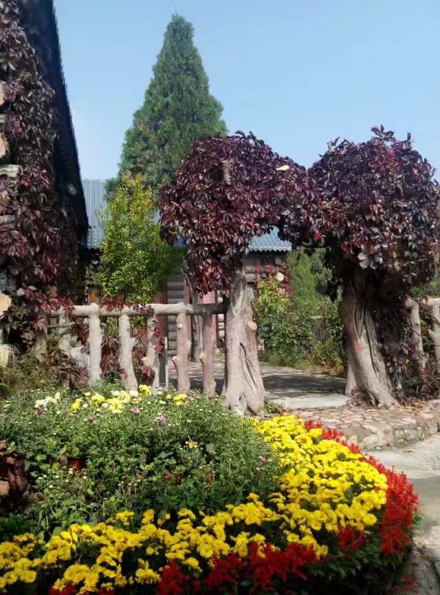 🌹【悟】✍🏼道德的内涵与外延:✍🏼