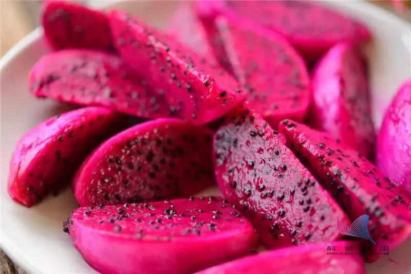 黄心猕猴桃和红心火龙果哪个好,红心猕猴桃和白心的哪个好