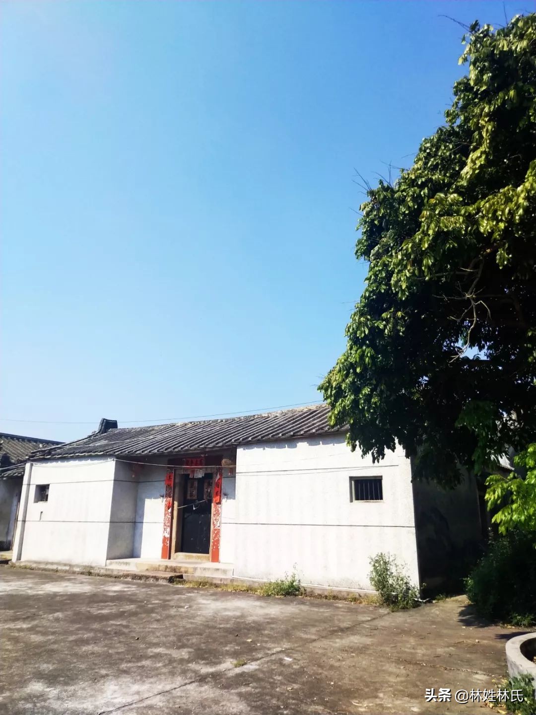 乌门楼│桐坑林氏始居地探源