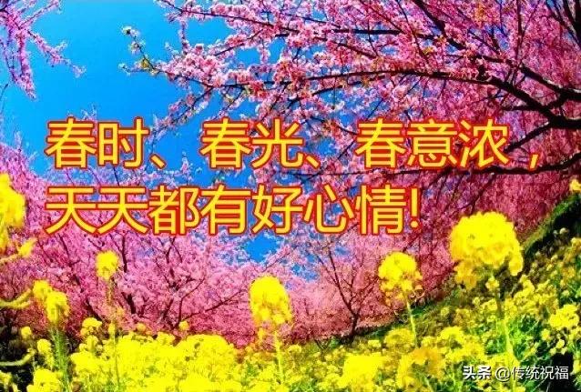 今日春分最美祝福语,今日春分祝福朋友好运