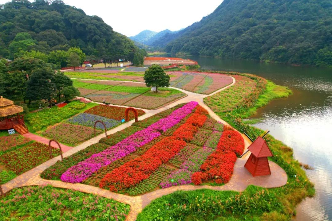 广州公园大片花海,广州哪个地铁站附近有花海