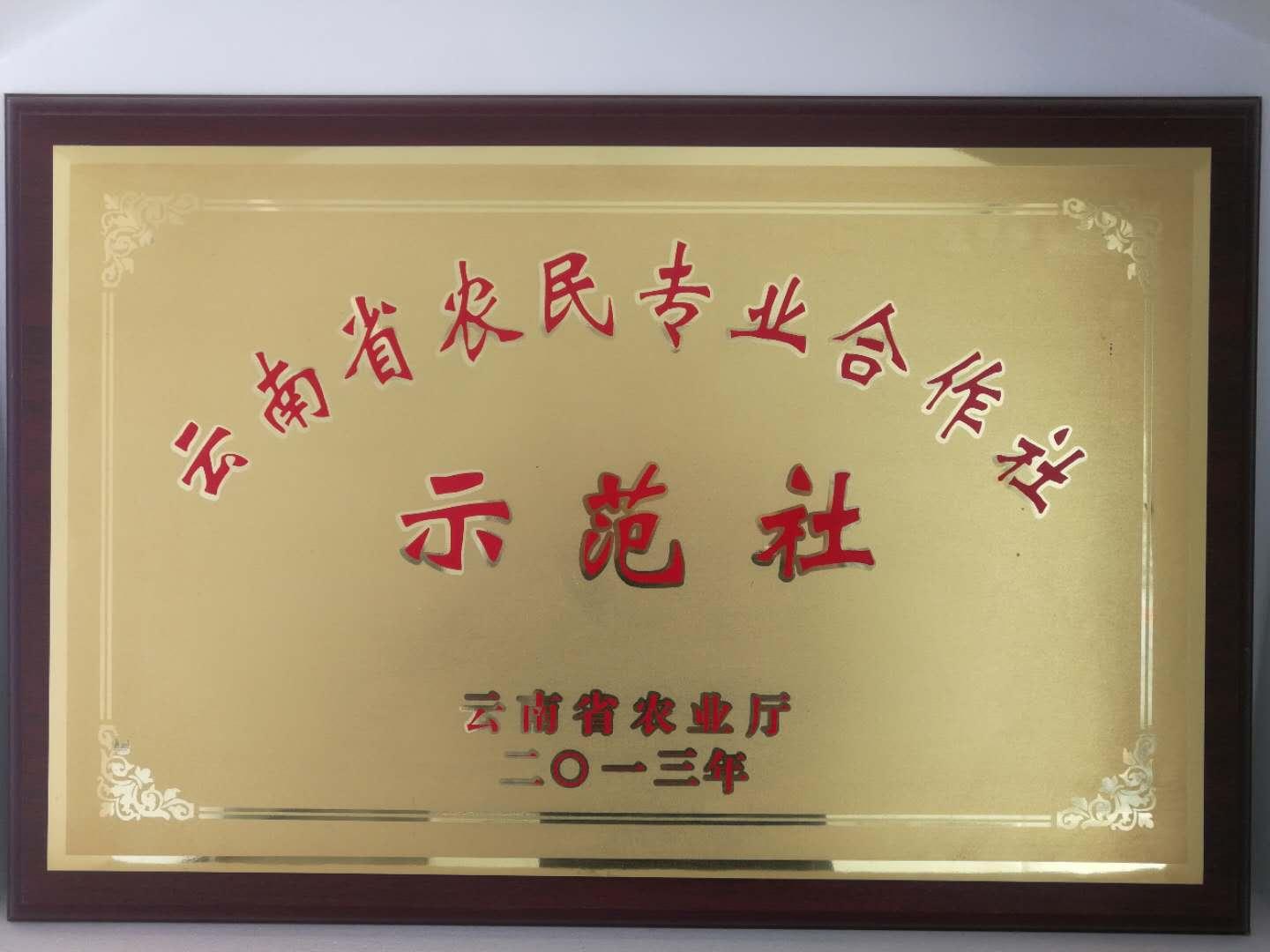 云南省通海县骄阳花卉种苗专业合作社风采（组图）