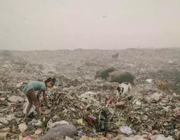 生僻字原唱完整版抖音,抖音网红生僻字是谁唱的