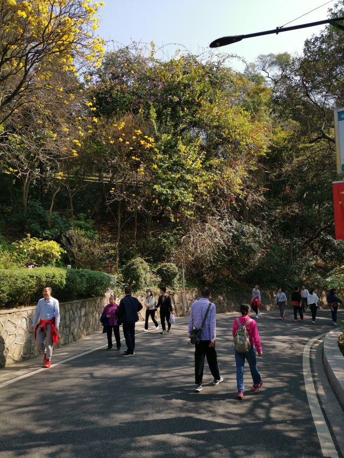 四面青山皆入画羊城无日不飞花白云山游记