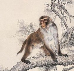 2019猪生肖每月运势李居明,2019特吉生肖运势