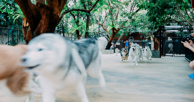 多次曼谷，整顿了这份美食攻略，曼谷怎么吃，戳进来