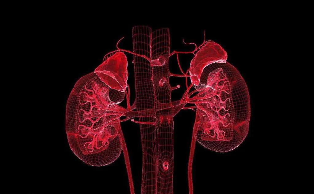 鍠濇祿鑼惰В閰掗ギ鑼跺墠椤荤煡閬撶殑鐭ヨ瘑,娴撹尪瑙ｈ尪鏂规硶