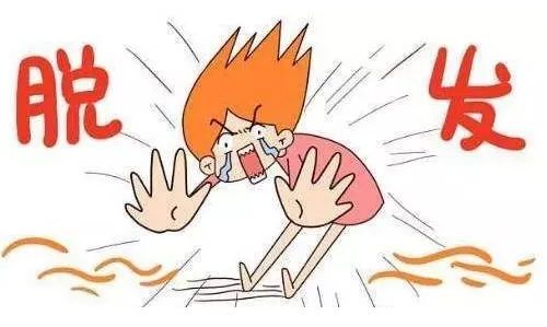 毛囊萎缩是个什么样的过程呢？为什么发量会日渐减少？