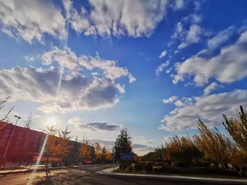 辽宁中医药大学杏林学院有独卫吗,辽宁中医药大学杏林学院属于3+2吗