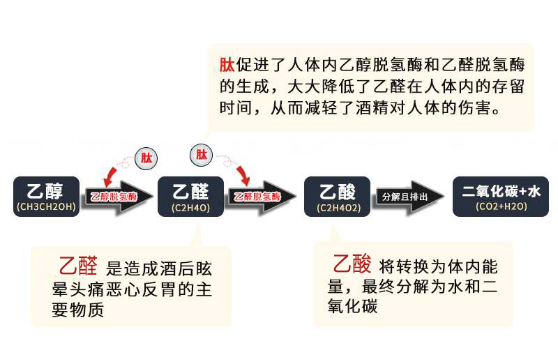 日本人酒量不好的原因,喝醉了酒直接睡觉人的性格