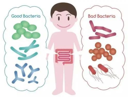 喝进口奶粉腹泻国产奶粉不拉肚子,喝了腹泻奶粉什么时候转正常奶粉