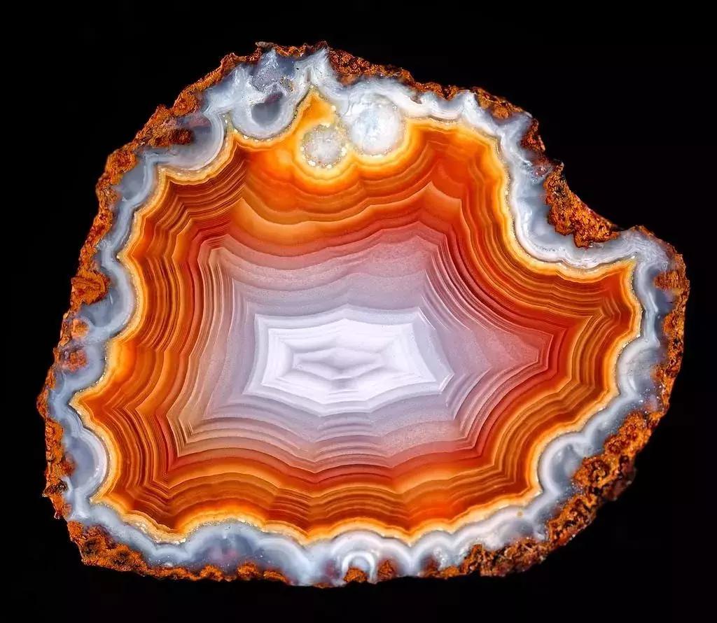 快来围观石英家族，颜值爆表