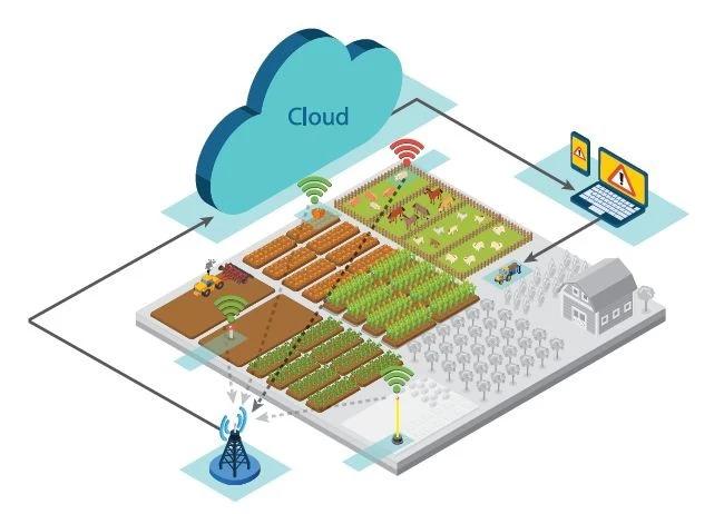 拼多多种咖啡、京东养猪、亚朵卖起了茶，互联网改造了农业什么？