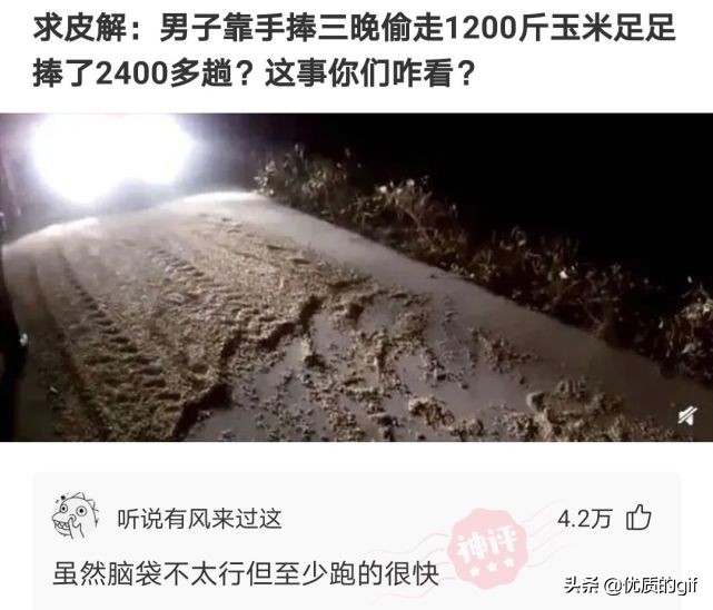 神回复：不小心进了个群，我应该取什么名字，才震得住场面？