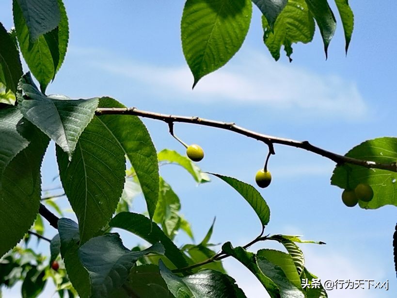 「追梦高山上的禅悟」探秘“南鳌太”越城岭，打卡鬼崽石