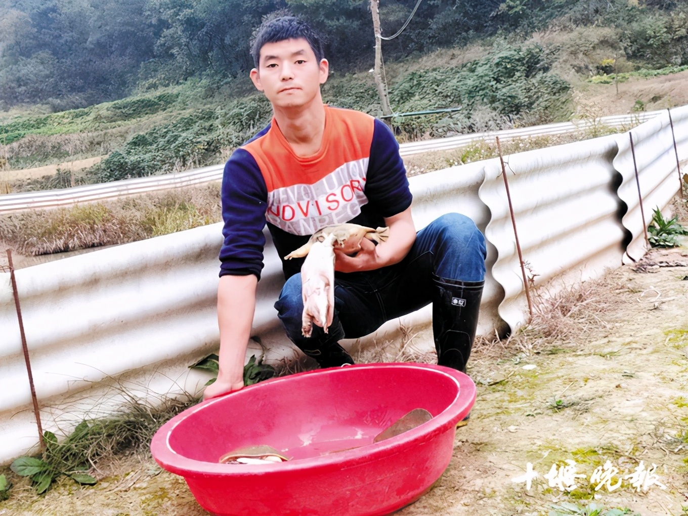 闅忓窞80鍚庡皬浼欏吇鐢查奔,90鍚庡皬浼欏吇鐢查奔