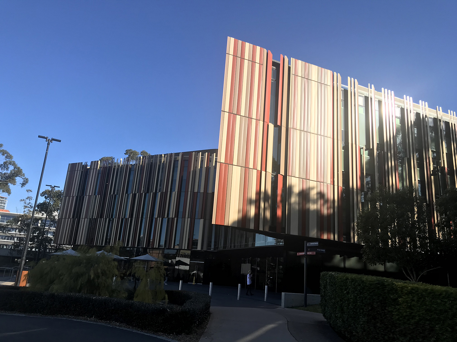 麦考瑞大学精算专业是移民专业吗,澳大利亚麦考瑞大学精算