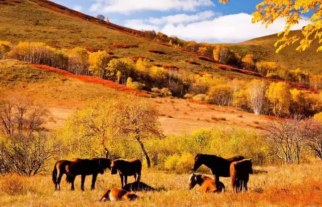 六月我们一起去旅行,九月带你去旅行