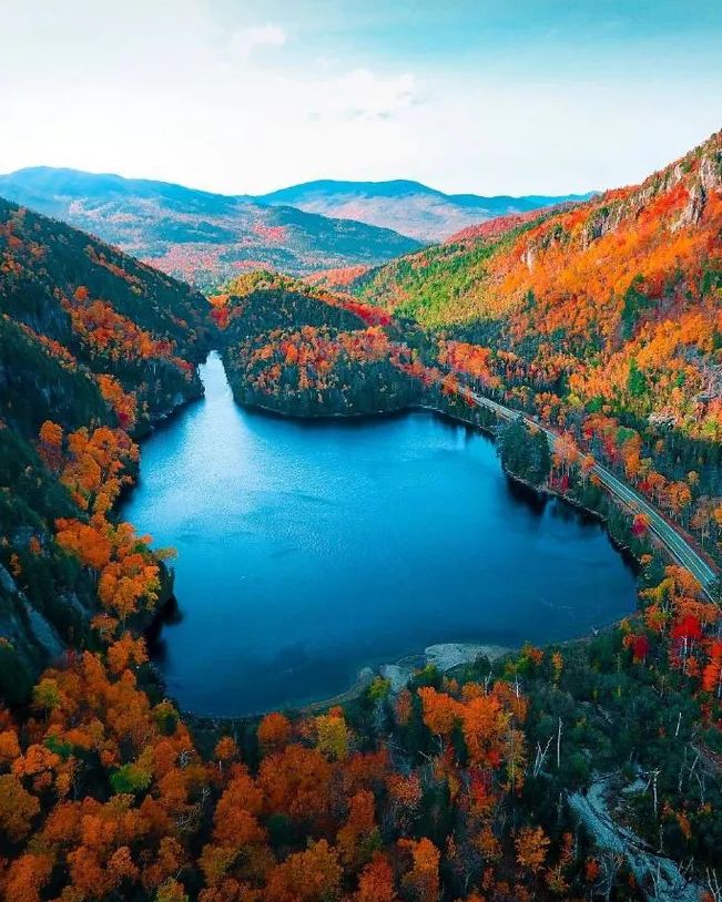 秋季落叶绝美诗句带赏析,有关秋天黄叶的诗句古诗词