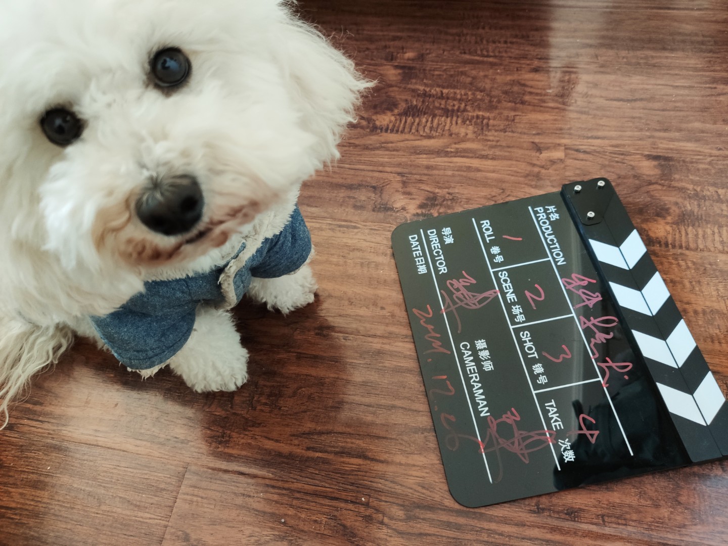 小顽智能宠物饮水机怎么使用,小顽智能宠物饮水机测评