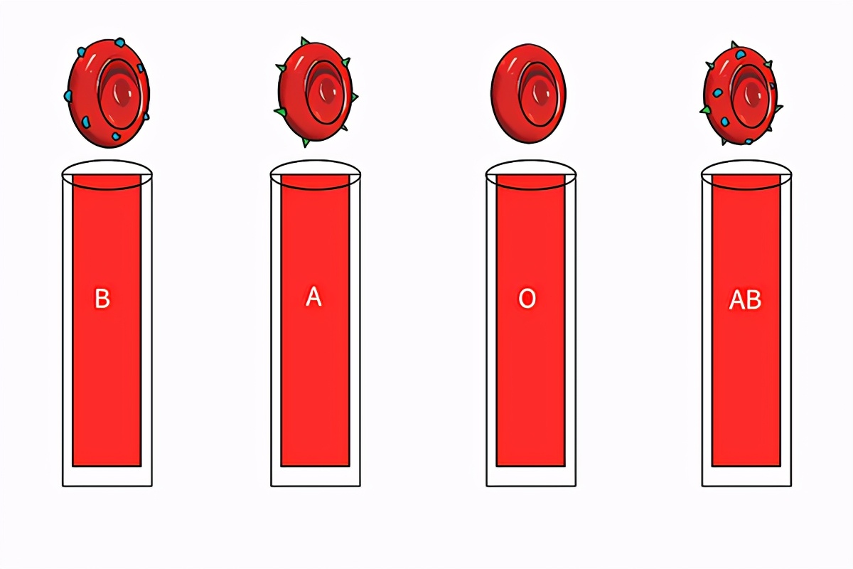 哪种血型的孩子智商最高,什么血型生什么血型孩子更聪明