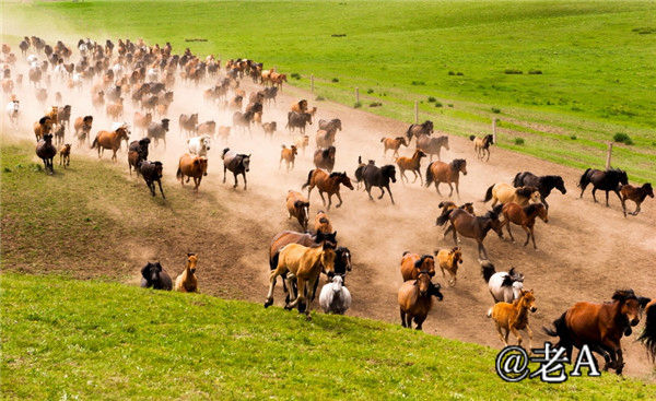 朋友们来张掖吧原视频,朋友来张掖吧