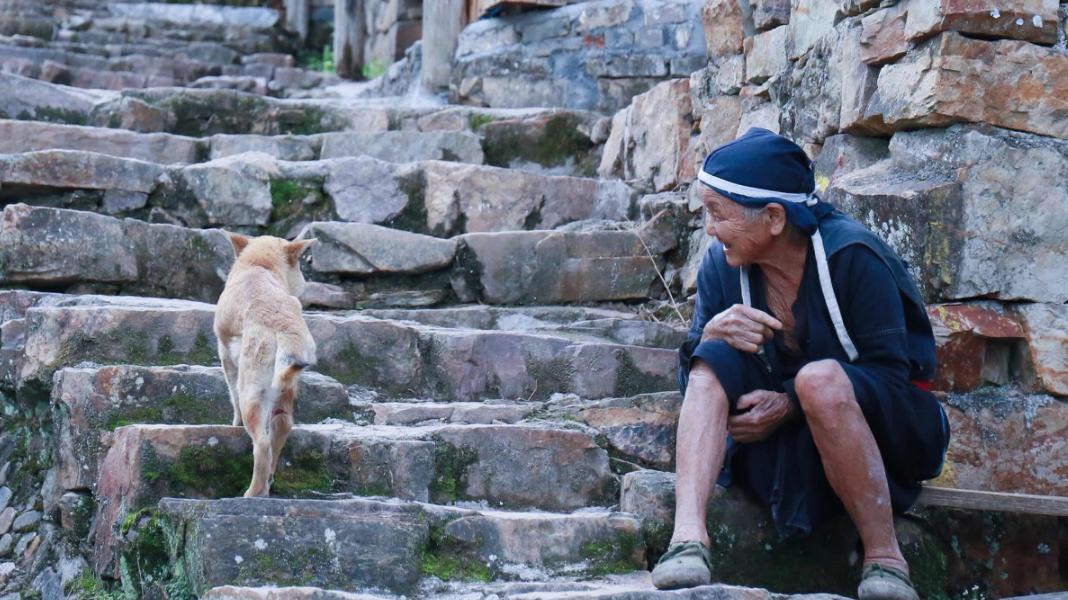 私藏菲律宾同款空中佛手，这座广东小城的落胃美食从早吃到晚
