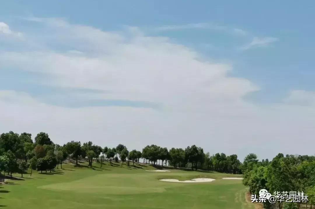 白露的诗句露从今夜白,白露至凉风起且看露从今夜白