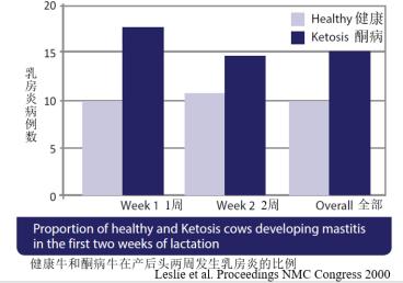 peter鍗氬＋鑲插効璇惧爞,鑻卞浗peter