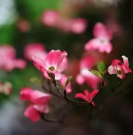 什么样的心灵鸡汤最能触动人心,触动人心的心灵鸡汤10字